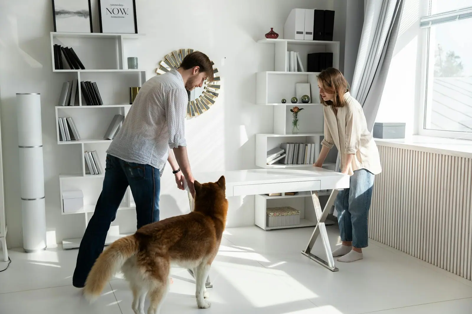 İskenderun'da Pet-Friendly Konut: Evcil Hayvan Dostu Yaşam Alanları - Başyapı Blog